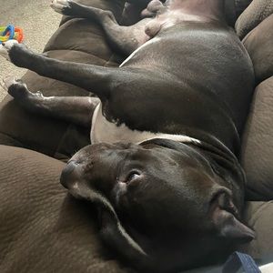 Meet your Posher, Melanie